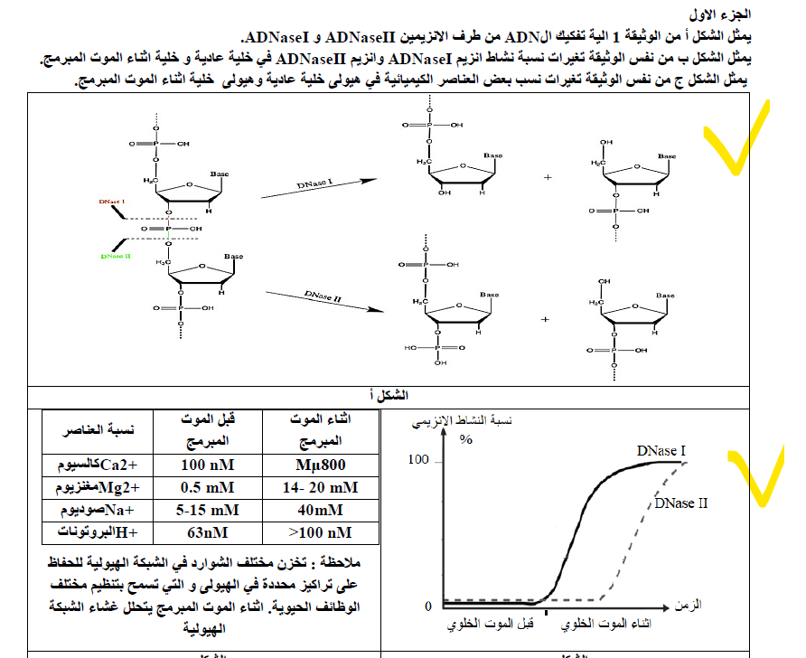 إختبار الفصل الأول في العلوم الطبيعية للسنة 3 ع ت 2024 pdf 